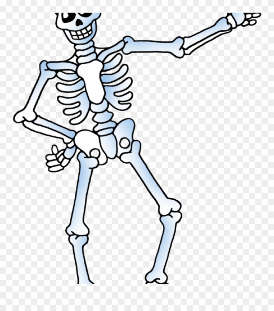 Skelton free cute . Skeleton clipart public domain