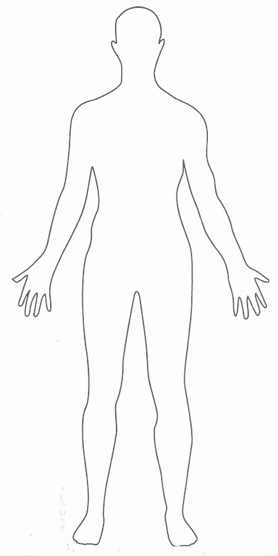 Body clipart simple human. Free adult cliparts download