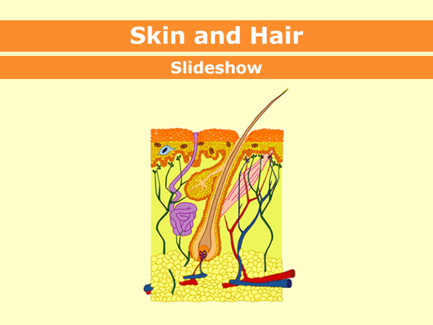 Hair and nails . Body clipart skin