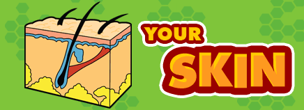 Your . Body clipart skin