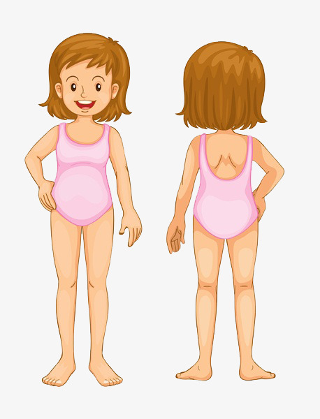 Little girl structure drawing. Body clipart toddler