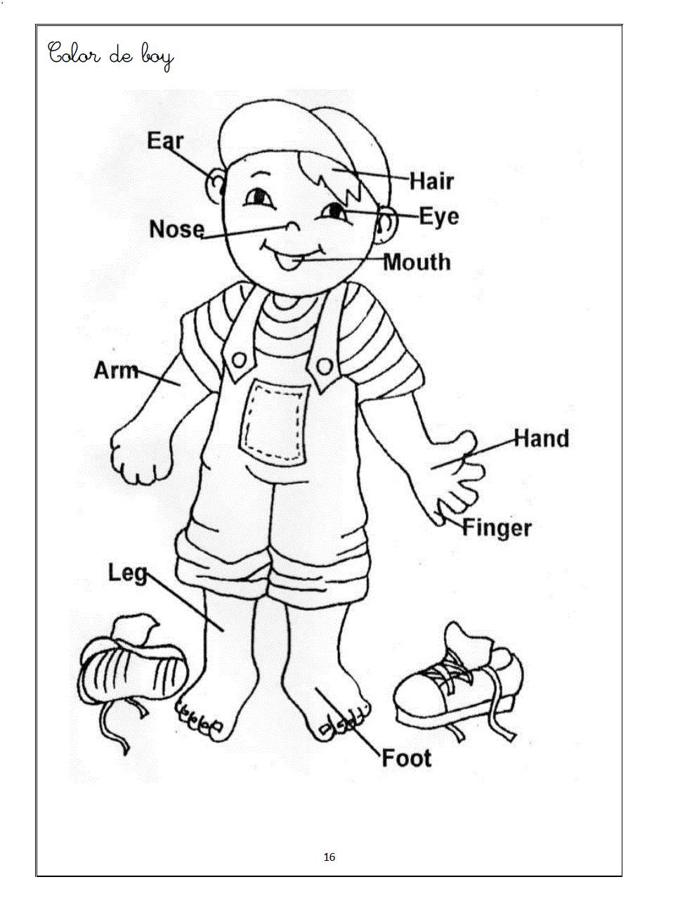 Worksheets for preschool human. Body clipart witch