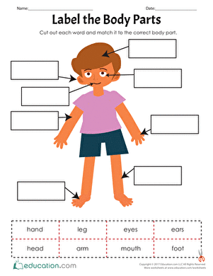 Body clipart worksheet. Label parts for kindergarten