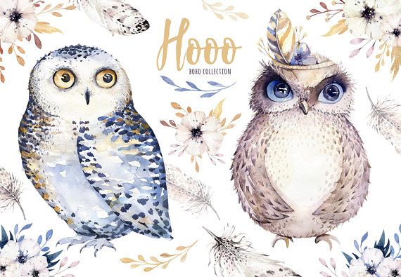 boho clipart owl