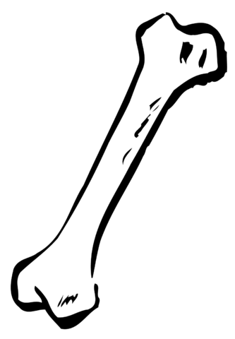 Bone clipart animal bone. Image dog border clip