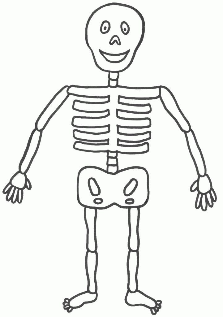 Bone clipart body.  collection of human