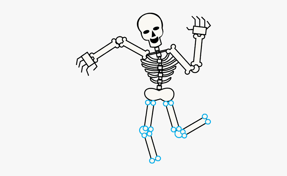 Clipart skeleton easy. Bones body drawing free