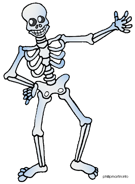 Body clipart cartoon. Bones skeleton 
