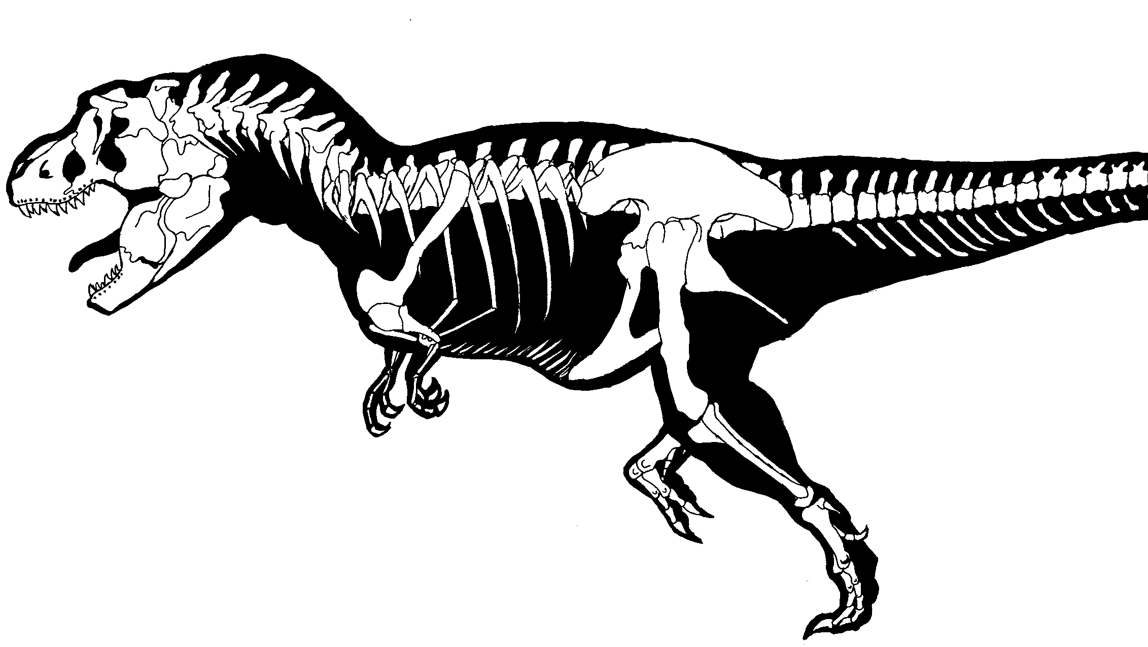 Sampler dinosaur skeleton coloring. Trex clipart dino bone