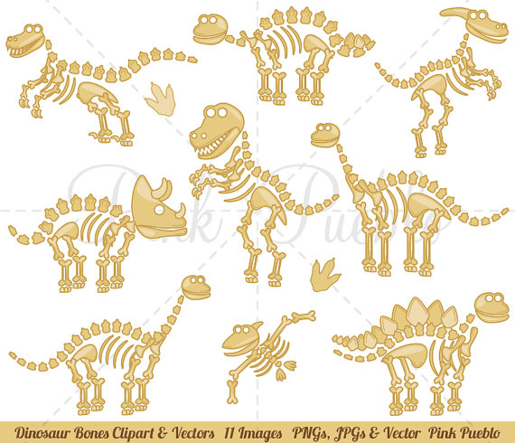 Bone clipart triceratops. Dinosaur bones clip art