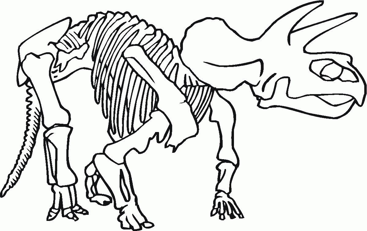 Bone clipart triceratops. Dinosaur bones fototo me