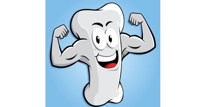 Free bone stong download. Tooth clipart calcium