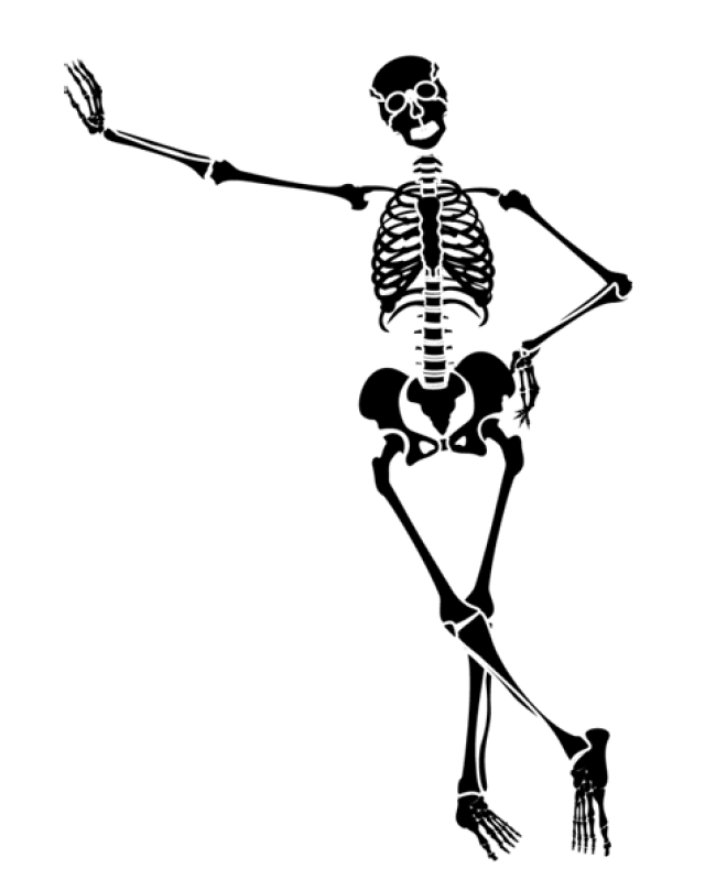  collection of halloween. Skeleton clipart skelaton