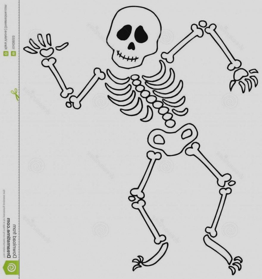 Bones clipart cute. Gallery skeleton clip art