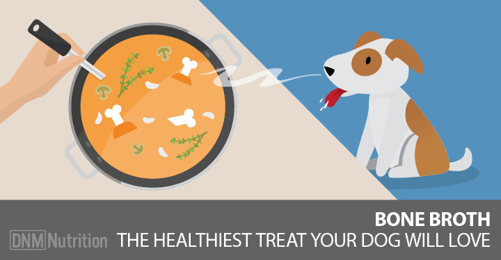 Bones clipart dog food. Bone broth for dogs