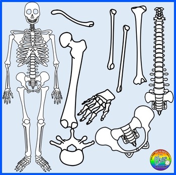 clipart skeleton body part