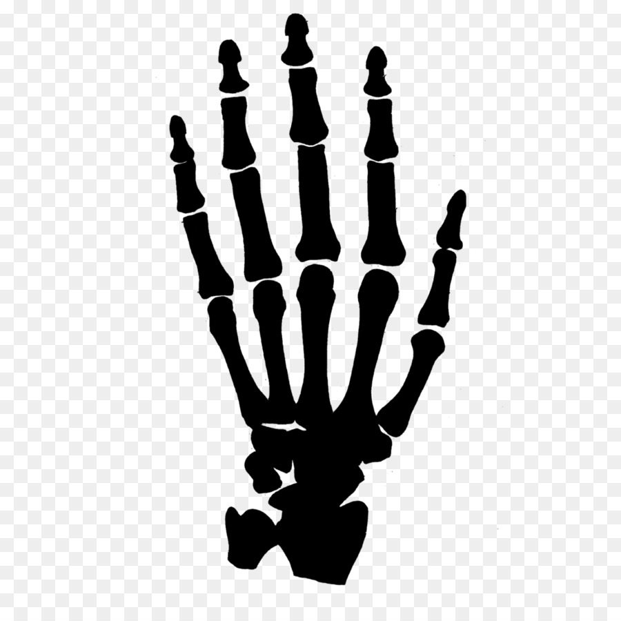 Bones clipart skeleton. Human hand clip art