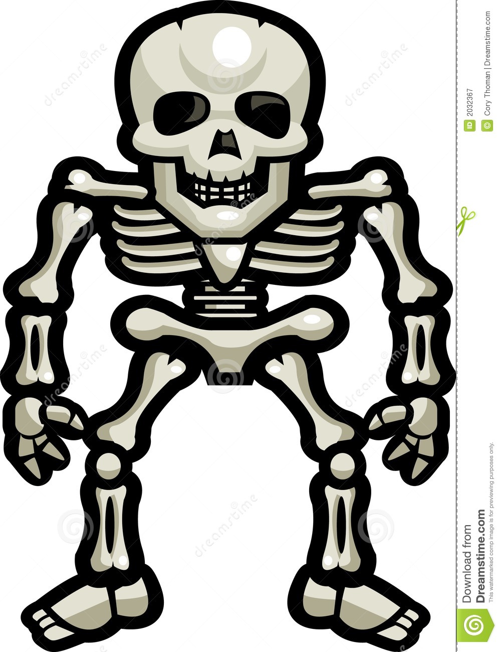 Human download best . Clipart skeleton royalty free