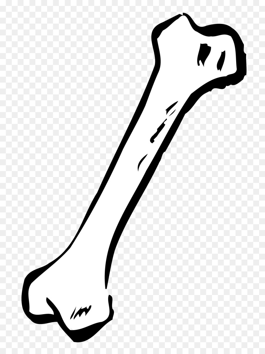 bones clipart skeleton