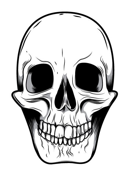 bones clipart skull