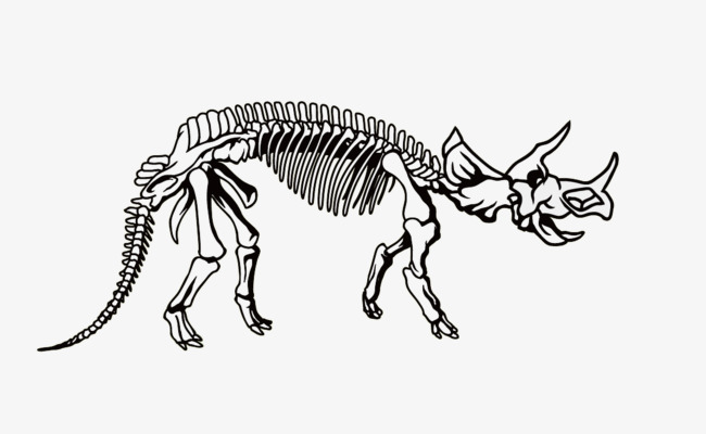 bones clipart triceratops