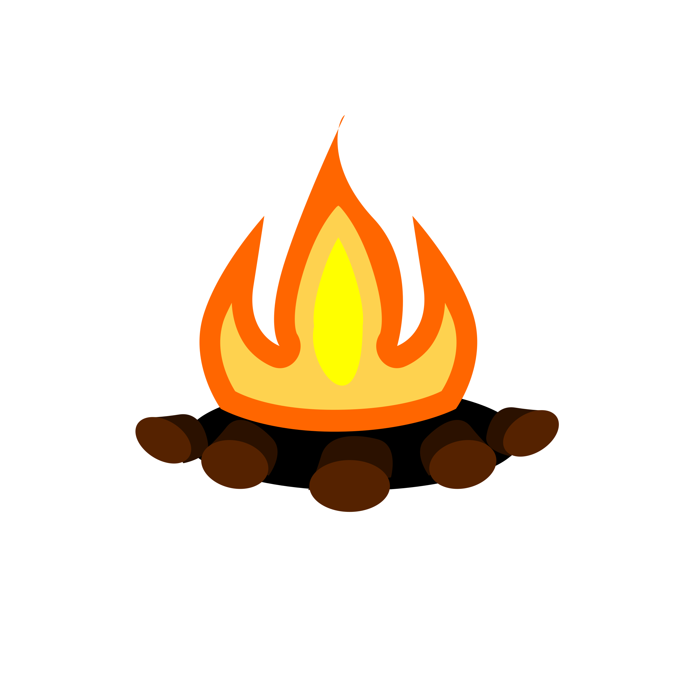 Flames campfire