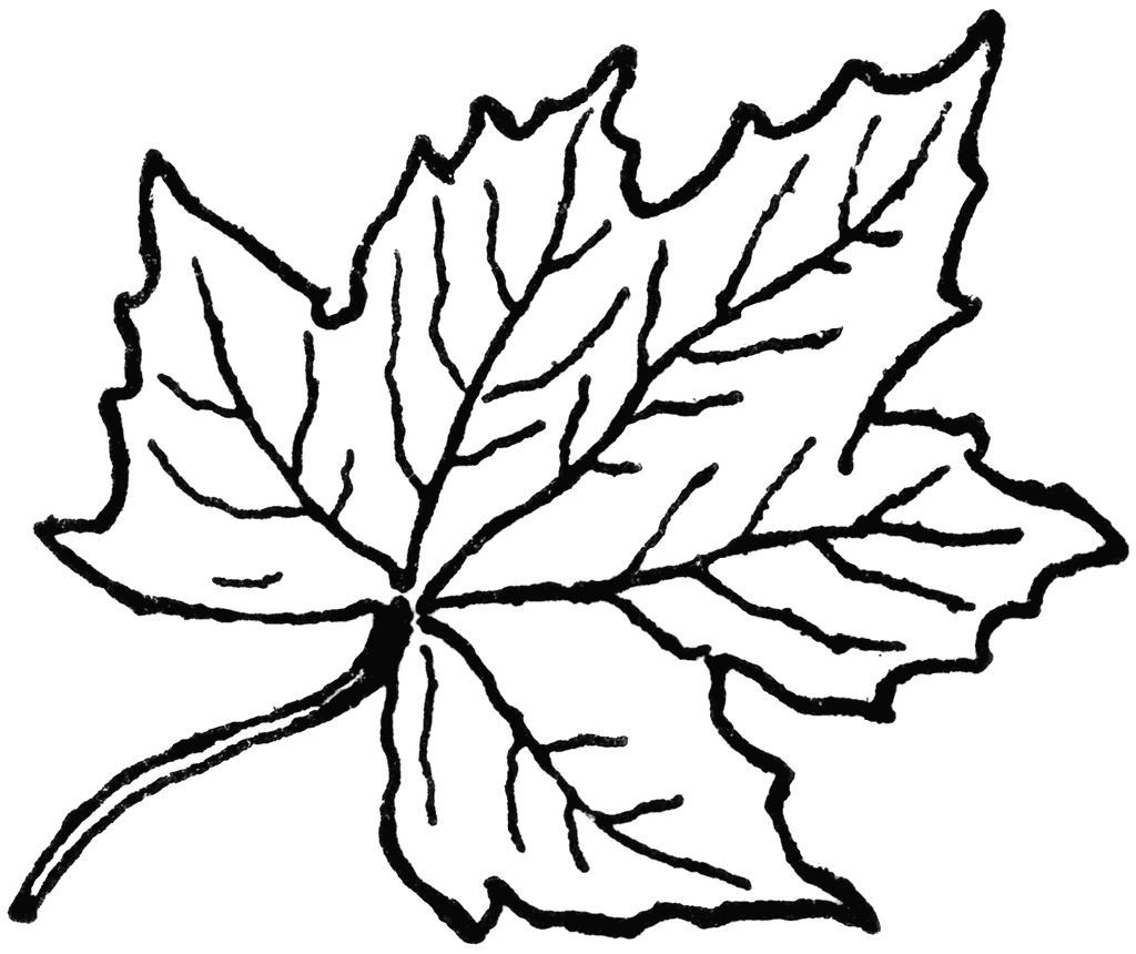 clipart leaves black and white