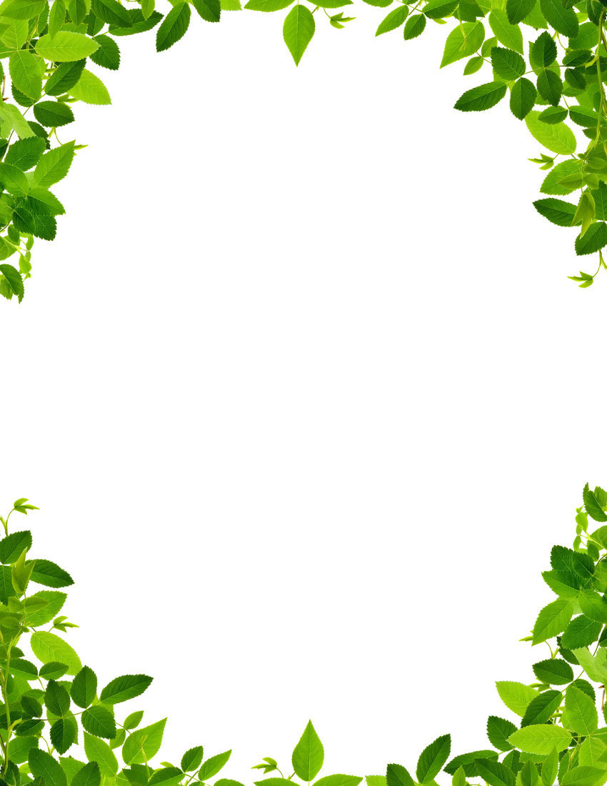 clipart leaf borders