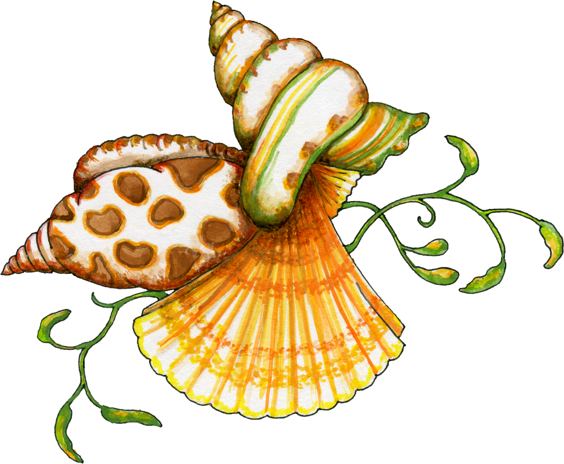 Seashell clip art borders. Shell clipart form