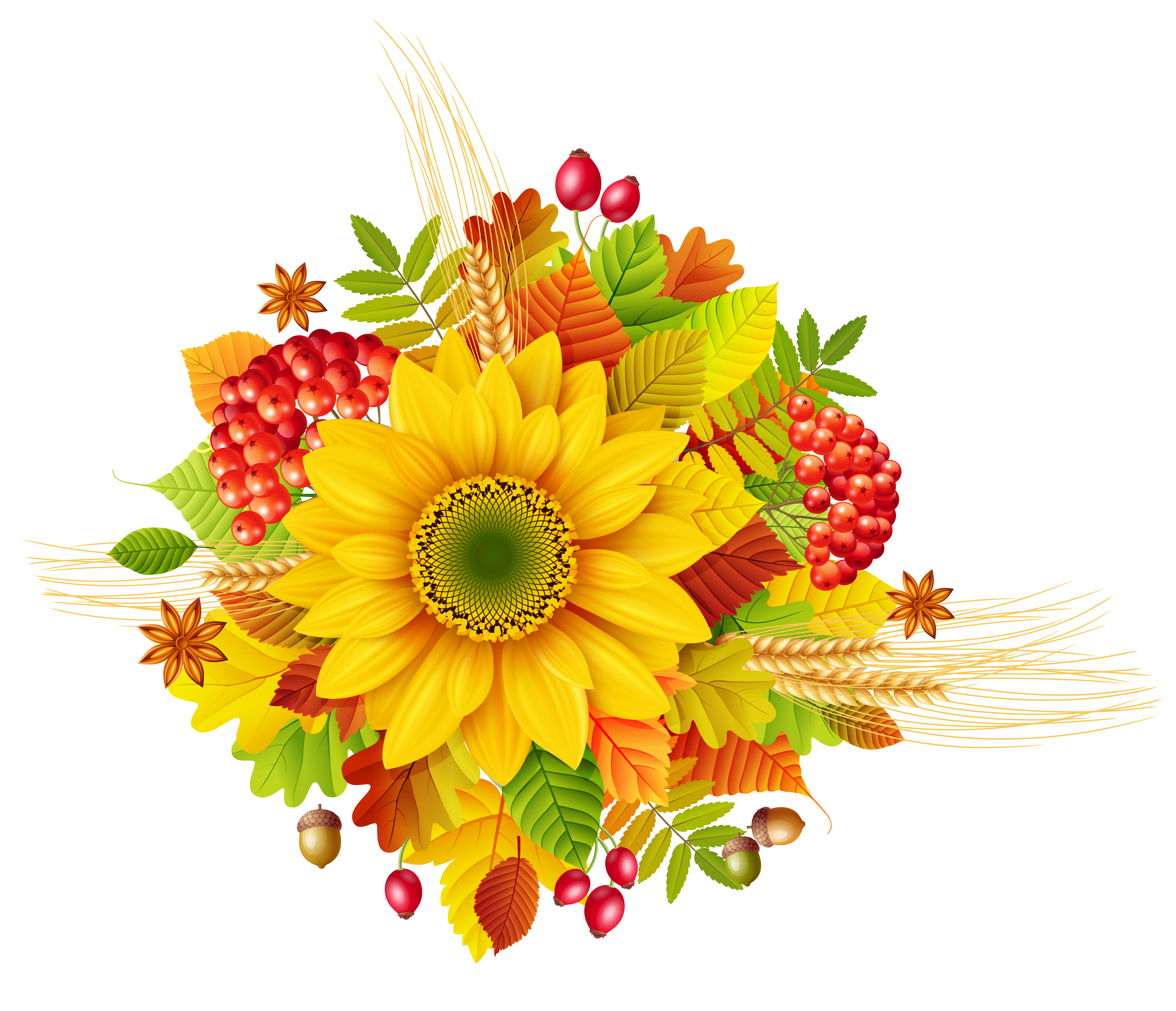 Autumn decor clipart picture. Fall flower png