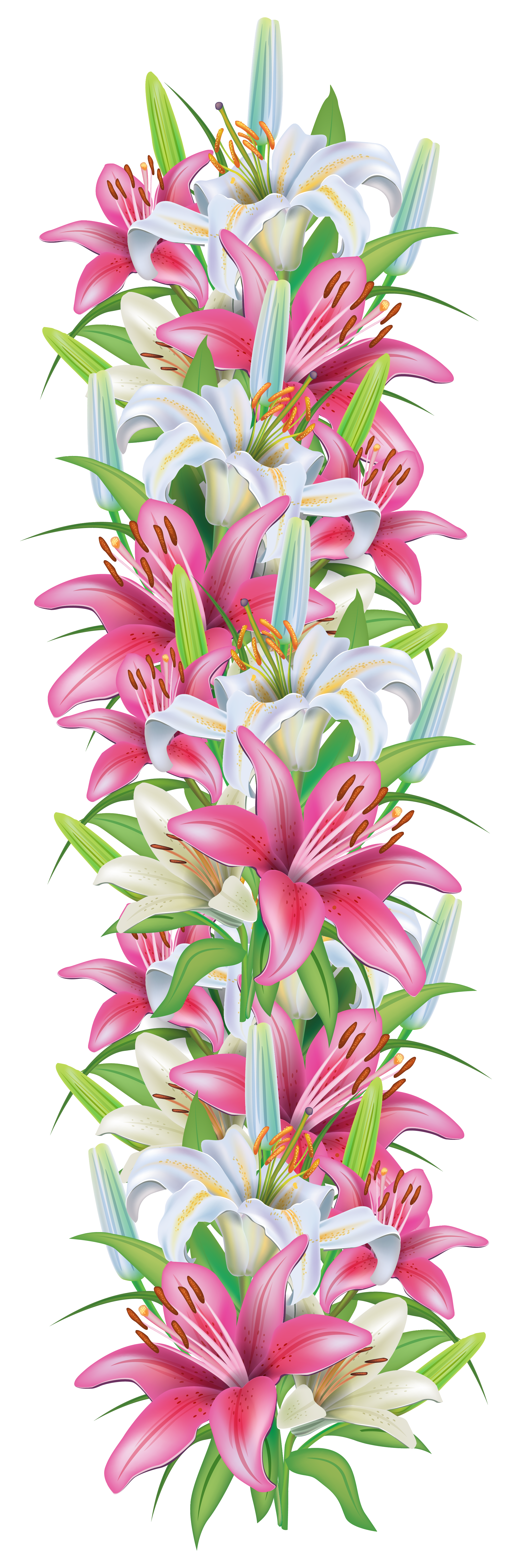 Pink and white lilies. Bouquet clipart border