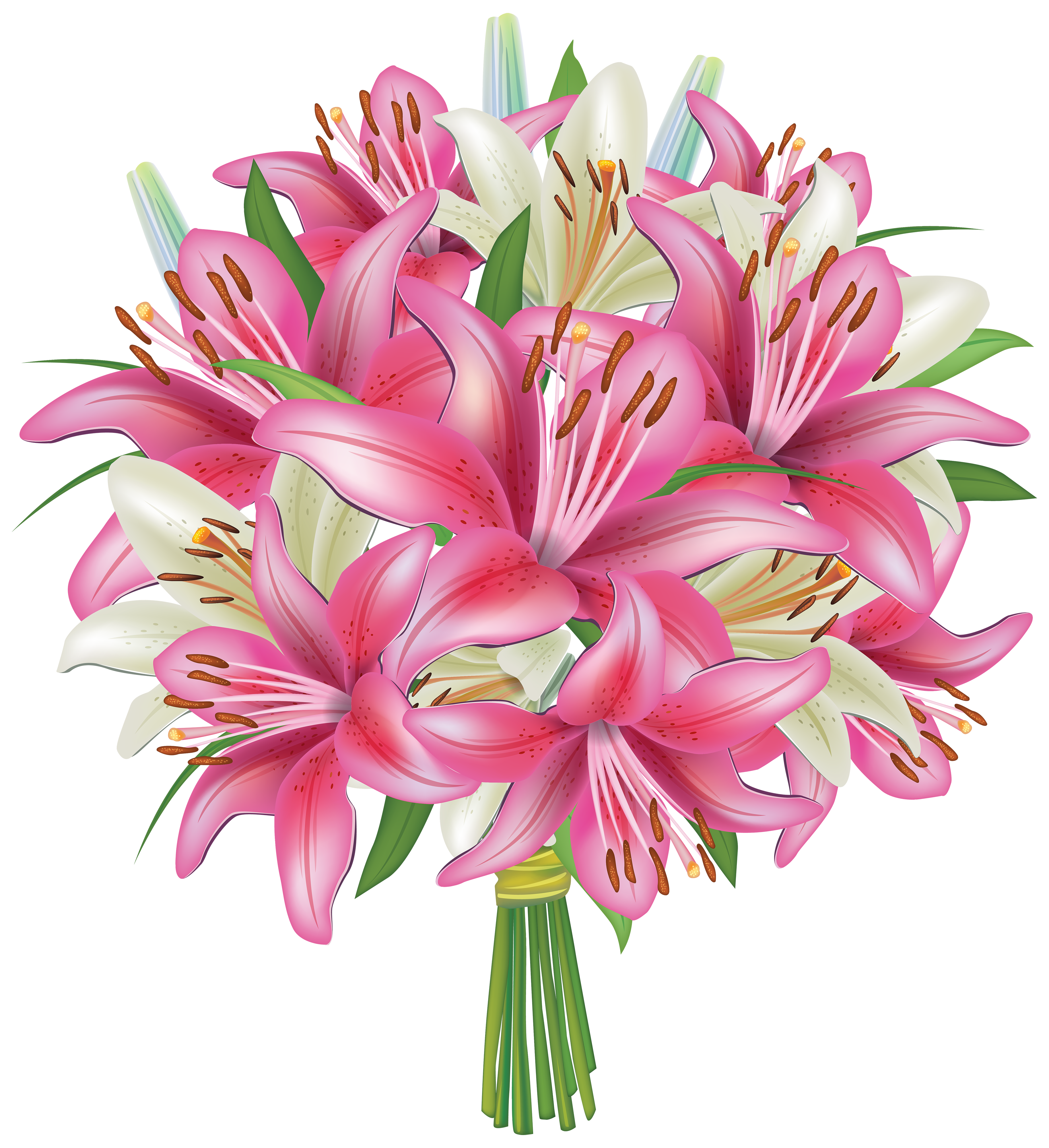 White and pink lilies. Flower bouquet png