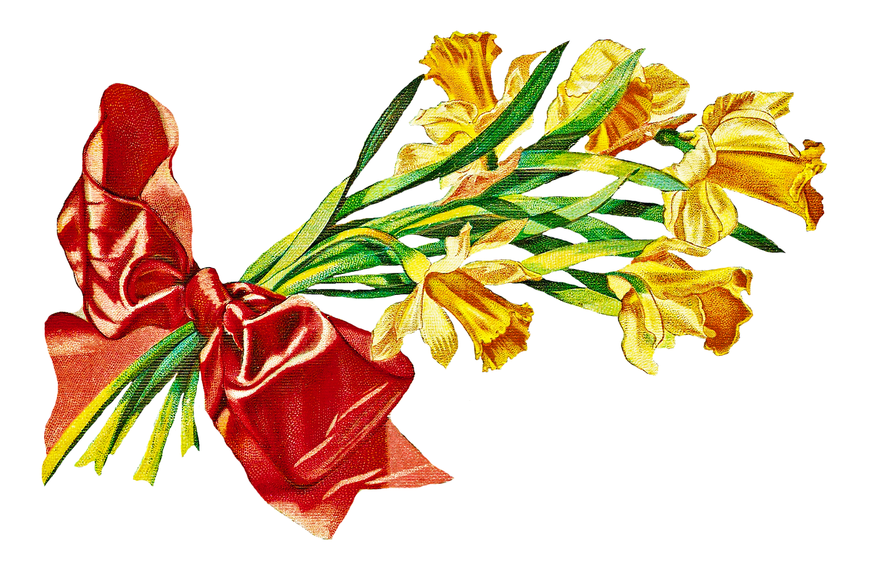 bouquet clipart daffodils