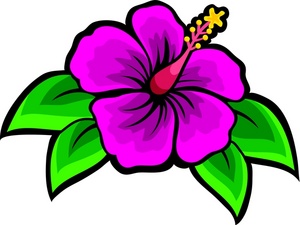 bouquet clipart hibiscus