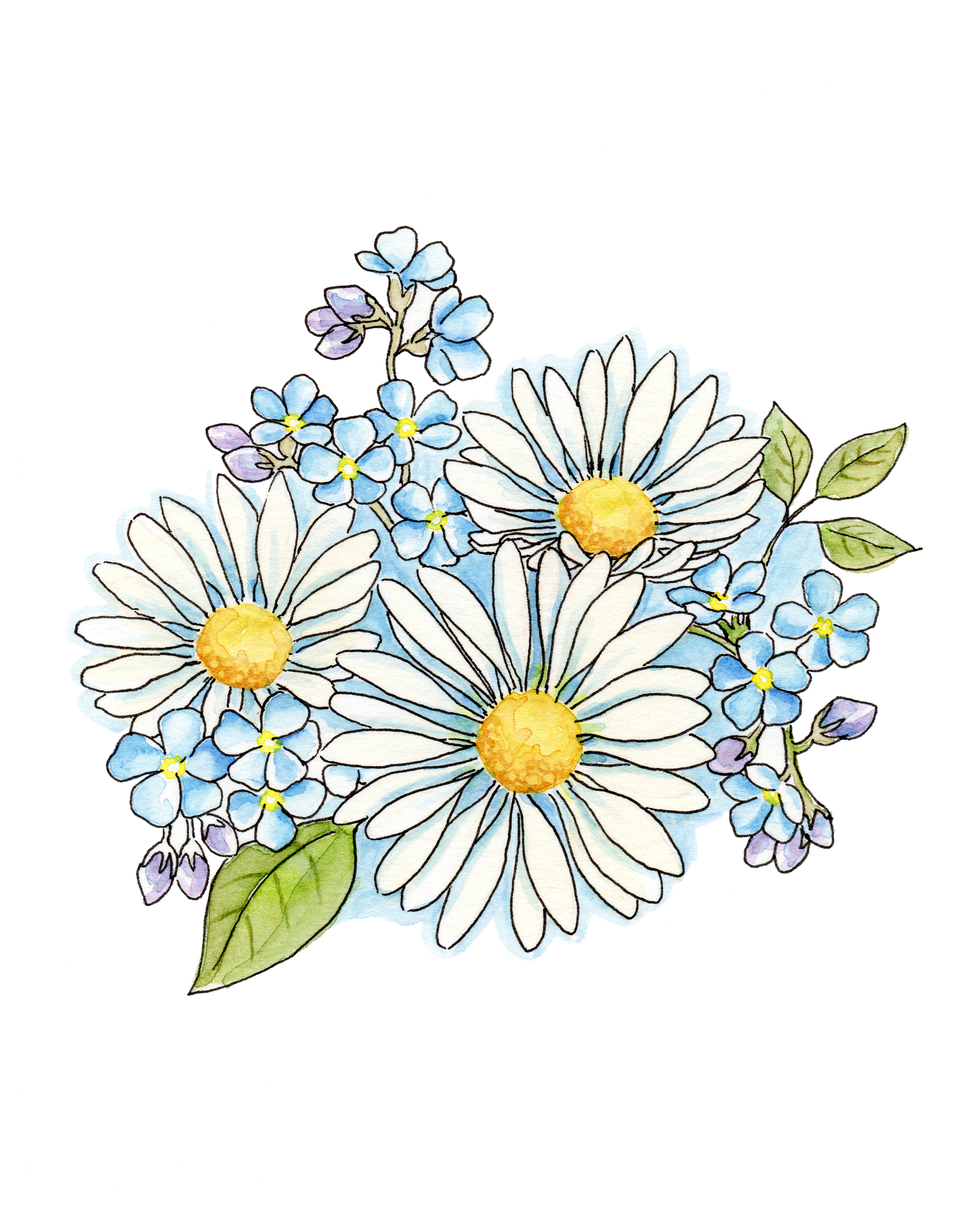Watercolor hand painted digital. Daisies clipart daisy bouquet