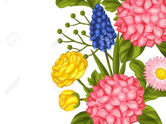 bouquet clipart marguerite