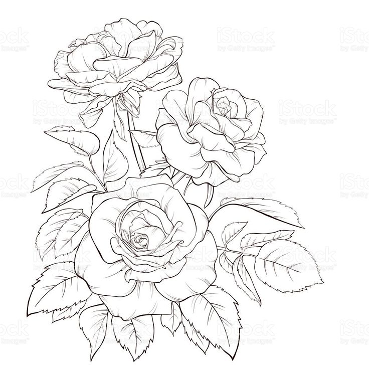  best flower tattoo. Bouquet clipart outline