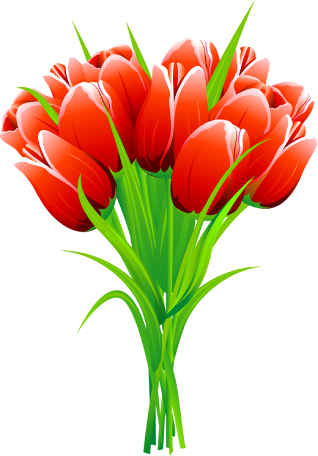 Bouquet clipart tulip. Web design development red