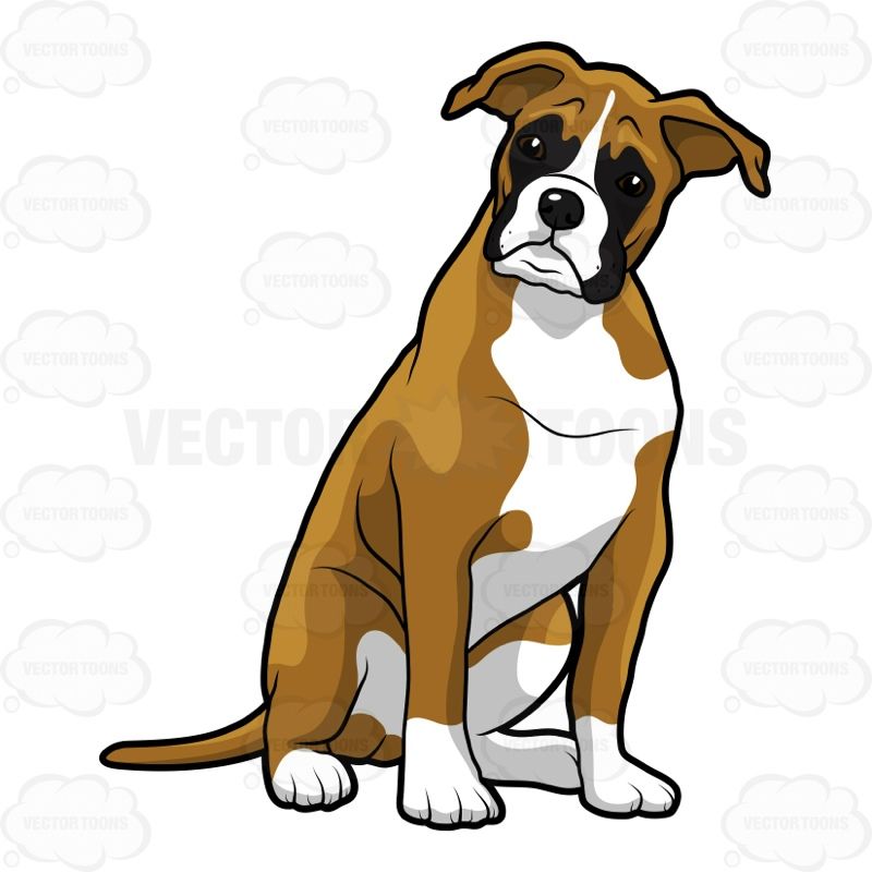 Pin by geff patton. Clipart dogs boxer