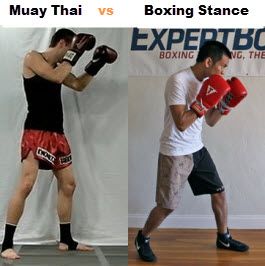 boxer clipart boxing stance