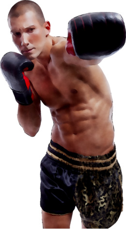 Boxer clipart professional boxer. Clip art 