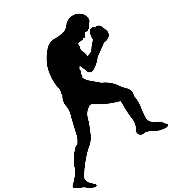 boxing clipart silhouette