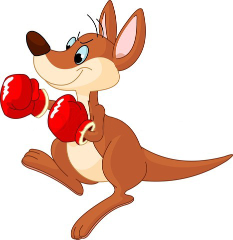 Kangaroo . Boxing clipart cute