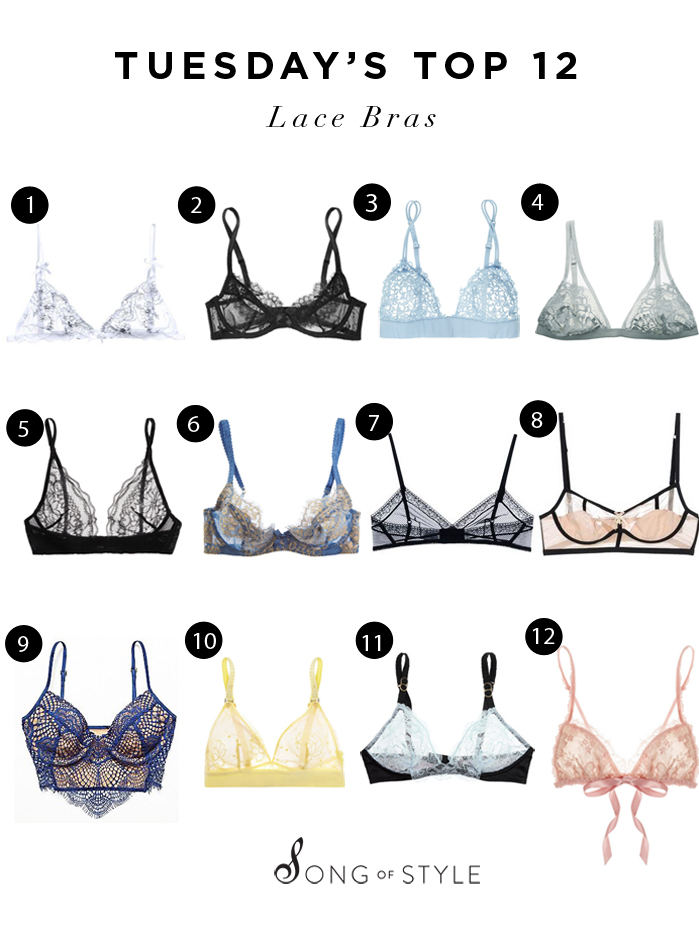 bra clipart lace bra