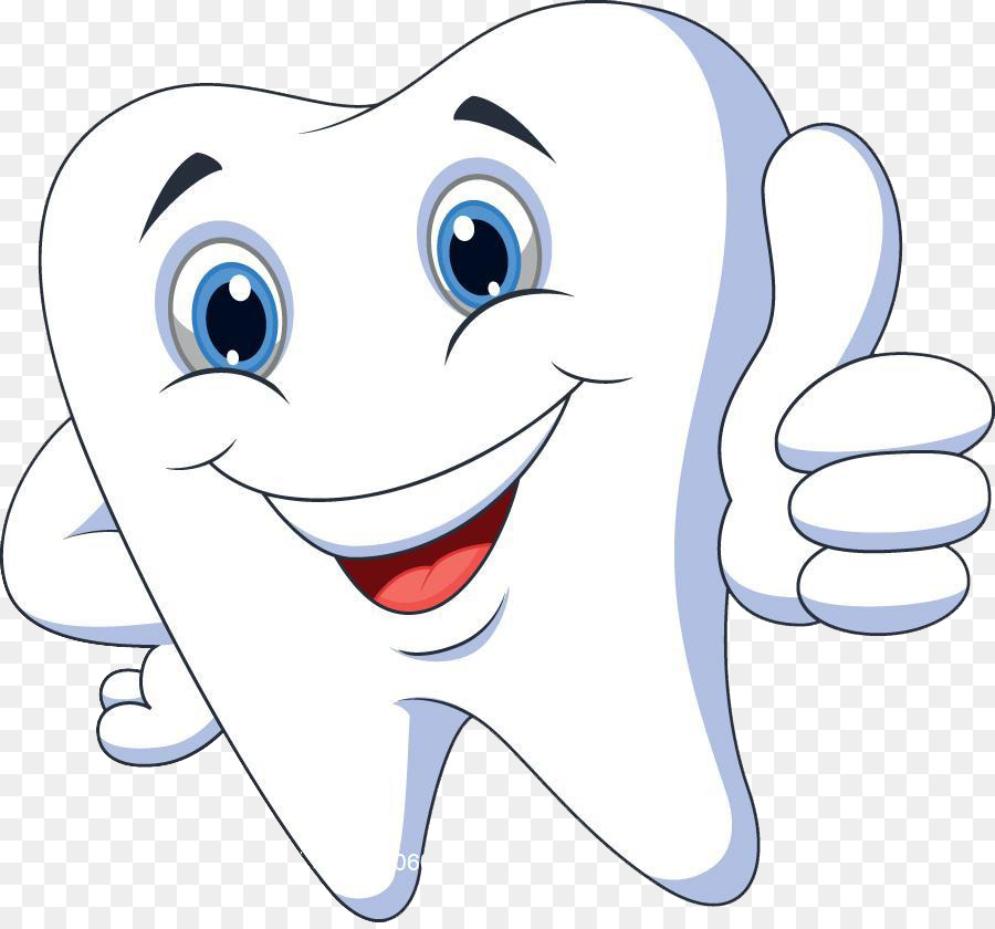 braces clipart human tooth