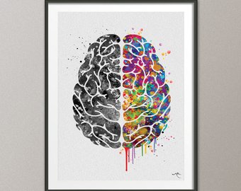 brain clipart creative