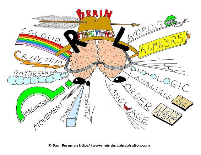 Brain clipart doodle. Functions mind map revolution
