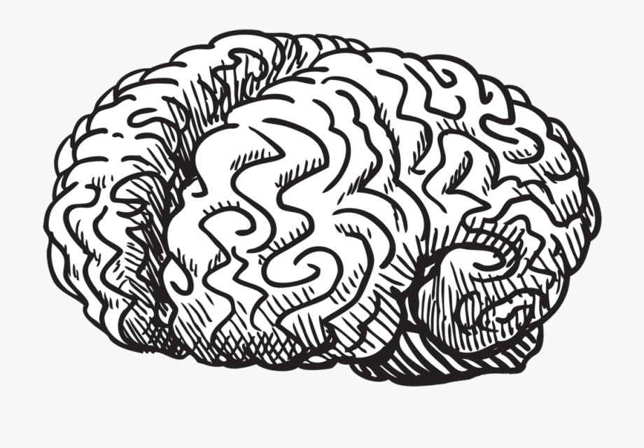 Mind clipart abstract brain. Drawing doodle png free
