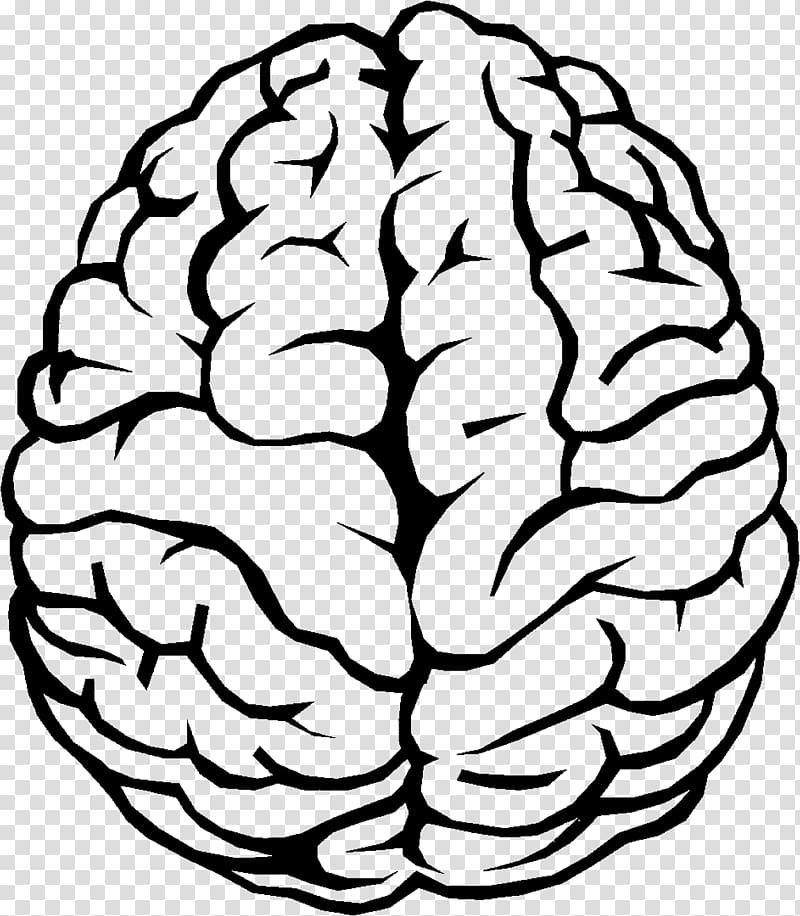 clipart brain illustration