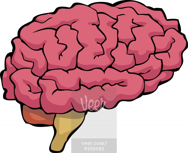 brain clipart illustration